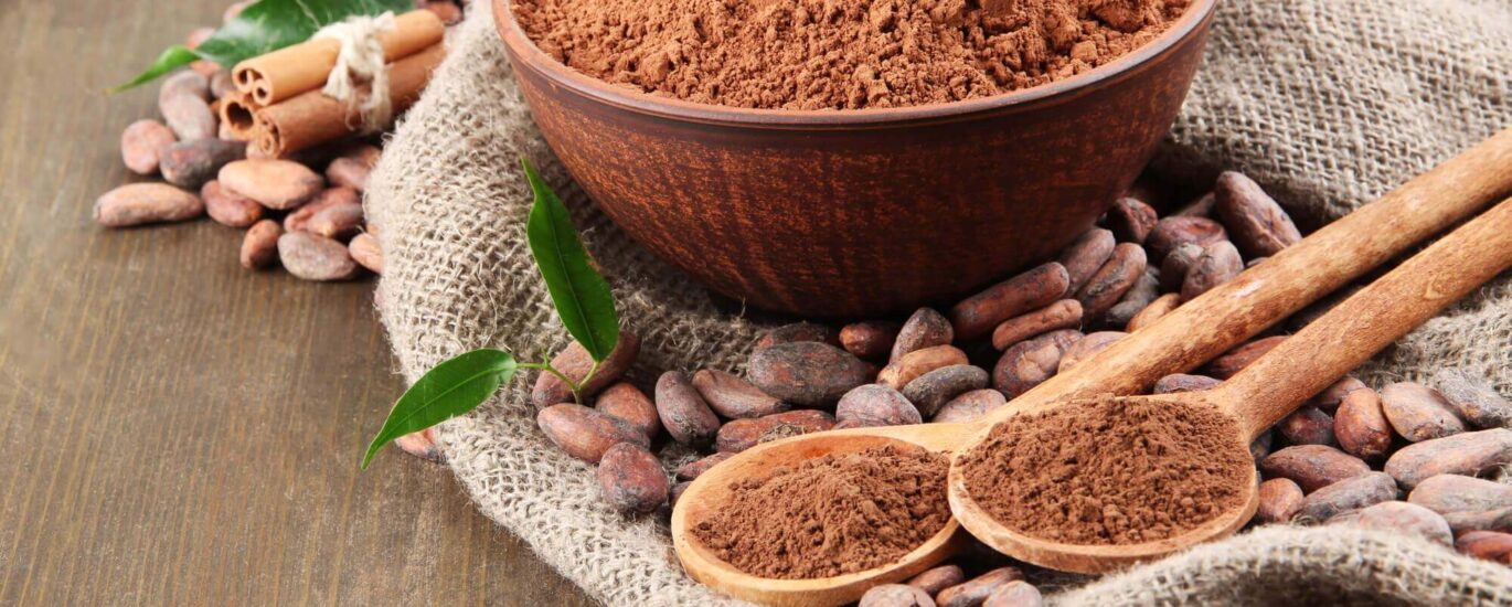 what is cacao powder 297059